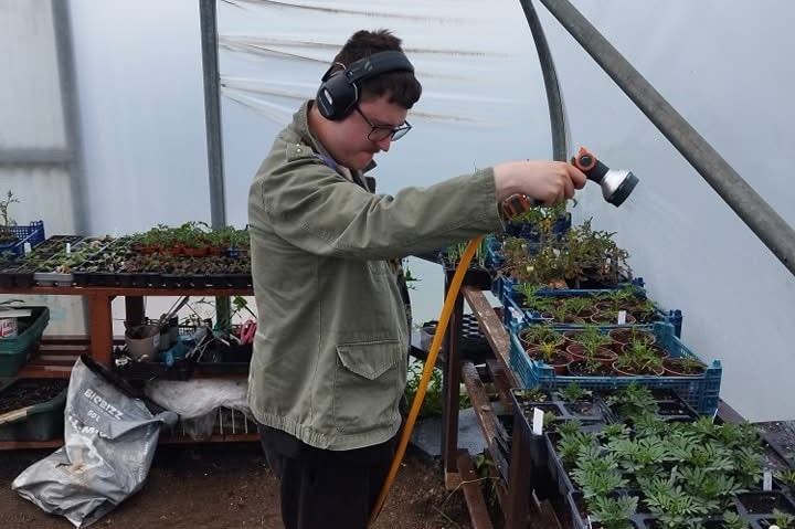 Watering the plants at Thistles Market Garden